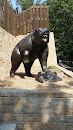 Bear Statute