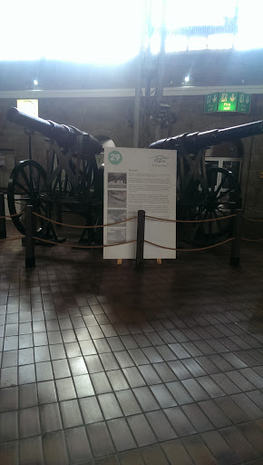 Garrison Cannons at Fort Regent
