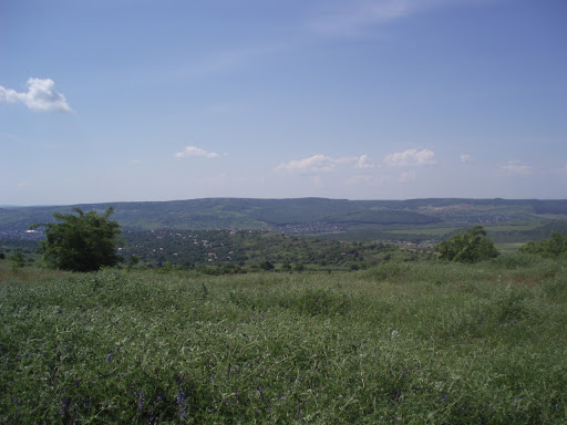 Linga Calarasi