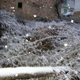 2008 Invierno &ndash; 