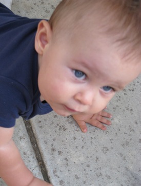 pics 036