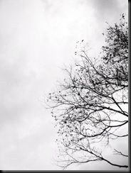 Photo0053