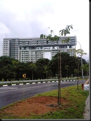 Photo0049