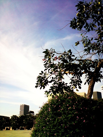 [DSC026472.jpg]