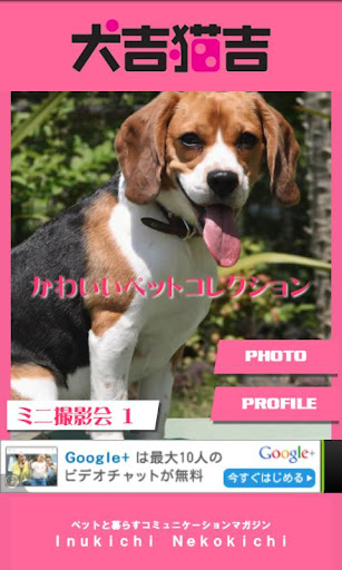 犬吉猫吉かわいいペットコレクション１