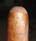 DSC02057.JPG