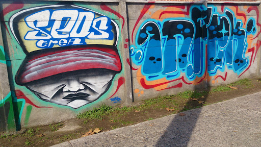 Graffiti Seos Crea 