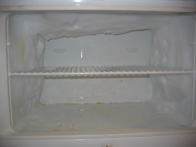 La cueva de hielo en que se había convertido mi congelador