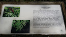 Girl Scouts Nature Trail Sign