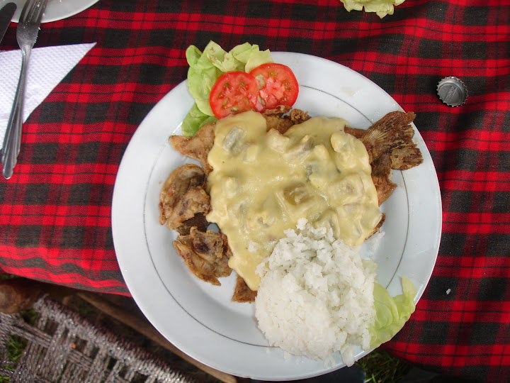 truchas con salsa de yogur