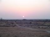 dsc03006.jpg
