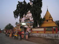 Mayapur harinam