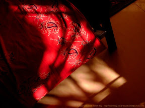 Photographs by Samit Roy