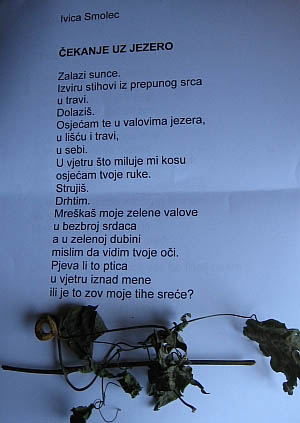 Čekanje uz jezero 2