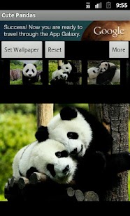 How to mod Cute Pandas wallpaper 1.0.1 unlimited apk for pc