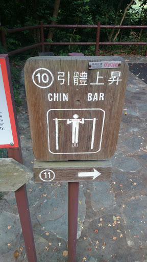 Chin Bar
