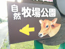 自然牧場公園←牛