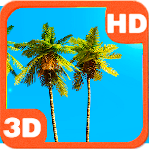 Magnificent Palm Sky Scenery.apk 1.4.9