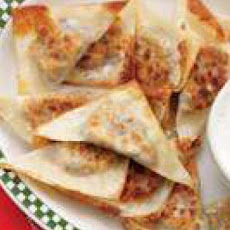 Mexican Potstickers
