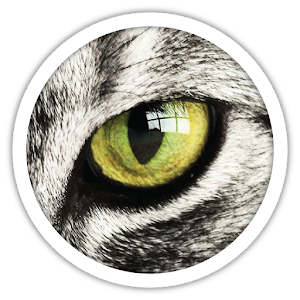 1 Glimpse 1 Word.apk 1.0.4