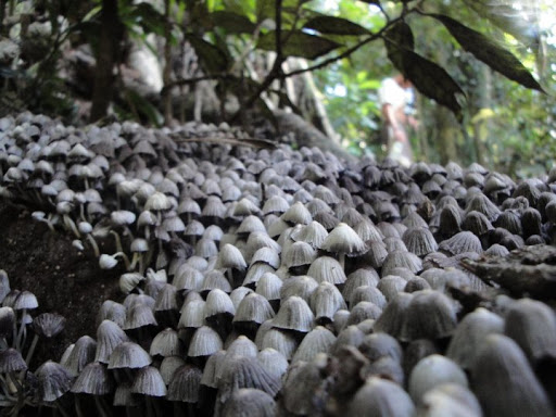 [Image: w9rf-GtiikkIeW23hg7VvDTz7-YP8hkk1gCyuQQO..._umFCQs8vq]