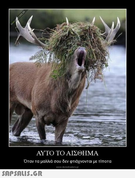 ΑΥΤΟ ΤΟ ΑΙΣΘΗΜΑ Οταν τα μαλλιά σου δεν φτιάχνονται με Τίποτα www.demotivators.gr 