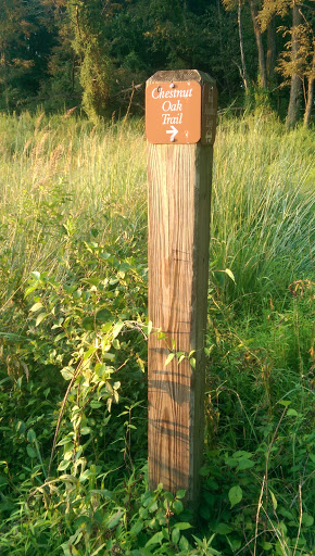 Chestnut Oak Trial & Fox Meadow Loop 