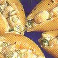 Bay Scallops & Shells