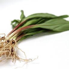 Soufflé omelet with Robiola and sautéed ramps