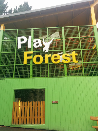 Play Forest