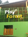 Play Forest