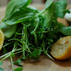 Pea Greens and Sugar Snaps with Preserved Lemon Cream
