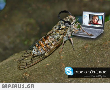 Skype ο τζίτζικας tacsbook/SocialMydia