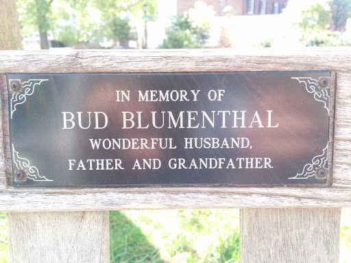 Bud Blumenthal Memory Bench