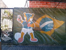 Grafite Fuleco Brasil