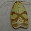 Sparganothis Fruitworm Moth