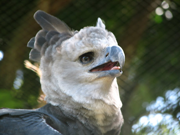 Spotting Image 1