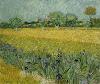 Field with Flowers near Arles