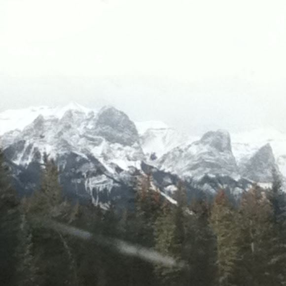 Spotting Image 1