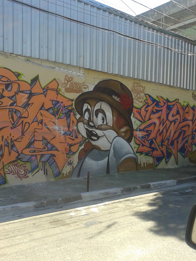 Grafite Do Chapéu Coco