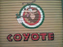 Street Art - Coyote Loves Tequila