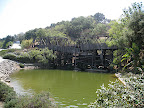 IMG_1950.JPG
