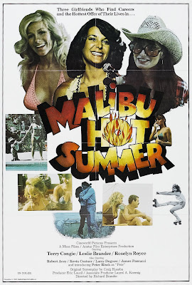 Sizzle Beach, U.S.A. (aka Malibu Hot Summer) (1986, USA) movie poster