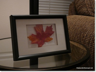 Framed Maple Leaf-1