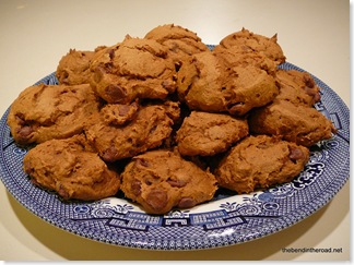 Weight Watchers 1 Point Pumpkin Cookies