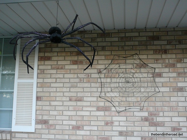 [SpiderandWeb4.jpg]