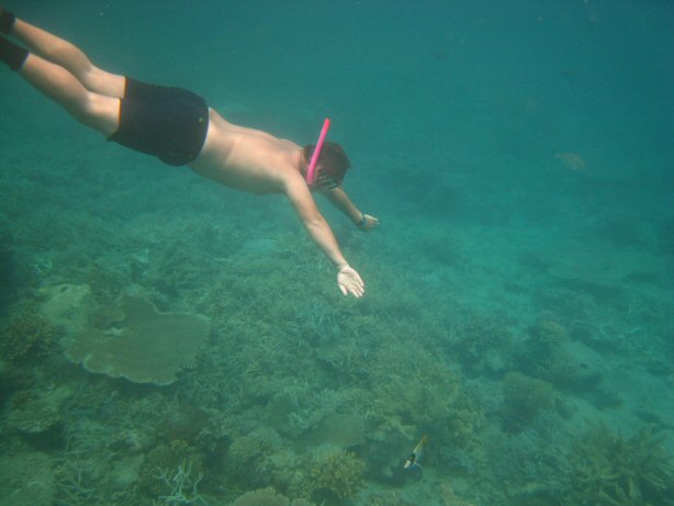 [IMG_9352.JPG]