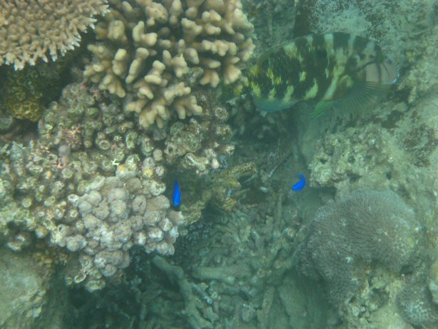 [IMG_9355.JPG]