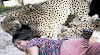 Edyaan, Istri di Terkam Cheetah Suami Sibuk motret (Gambar 3)