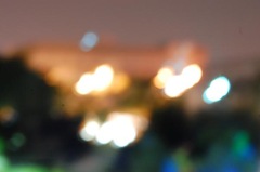 DSC_1448